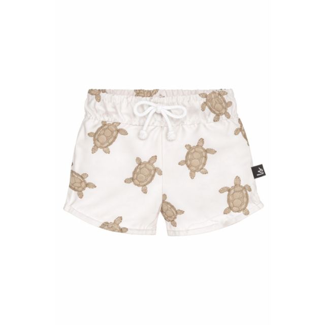 Zwembroek turtles